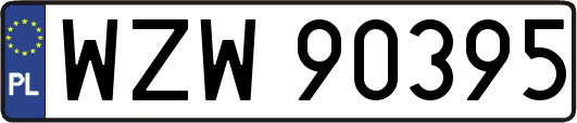 WZW90395