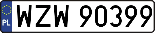WZW90399