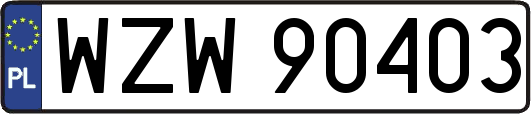 WZW90403