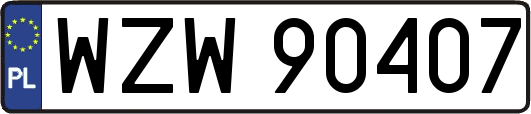 WZW90407