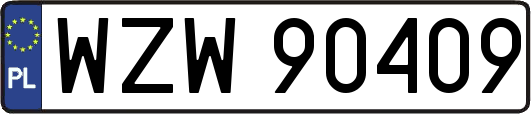 WZW90409