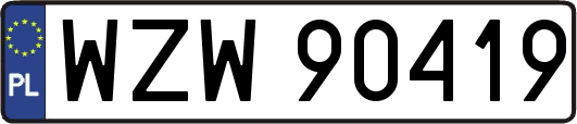 WZW90419