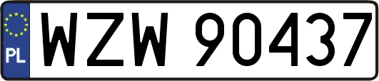 WZW90437