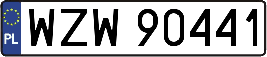 WZW90441