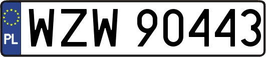 WZW90443
