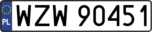 WZW90451