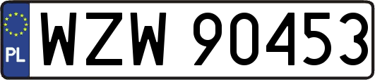 WZW90453