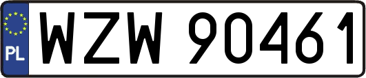 WZW90461