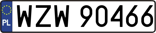 WZW90466