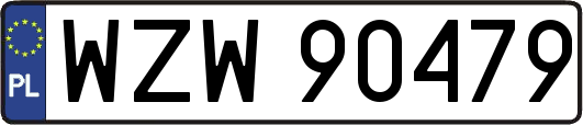 WZW90479