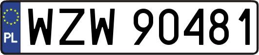 WZW90481