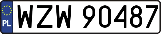 WZW90487