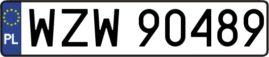 WZW90489
