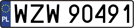 WZW90491