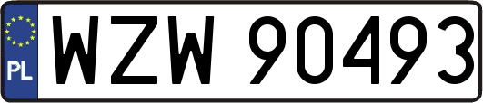 WZW90493