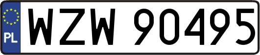 WZW90495