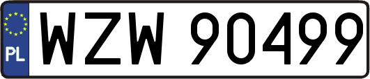 WZW90499