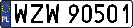 WZW90501