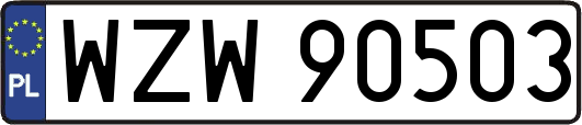 WZW90503