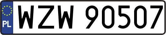 WZW90507