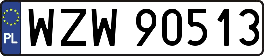 WZW90513