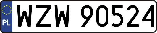 WZW90524
