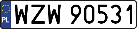 WZW90531