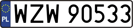 WZW90533