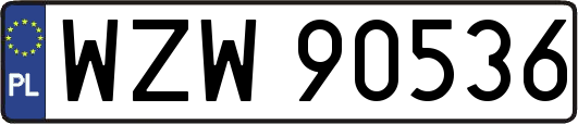 WZW90536