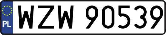 WZW90539