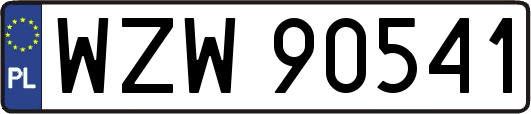 WZW90541
