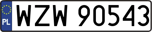 WZW90543