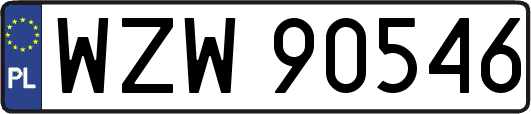 WZW90546