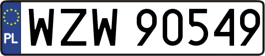 WZW90549