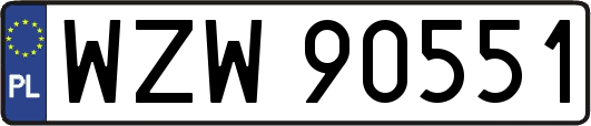 WZW90551
