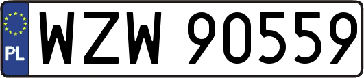 WZW90559