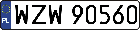 WZW90560
