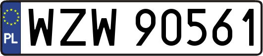 WZW90561