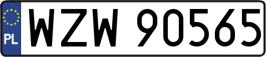 WZW90565