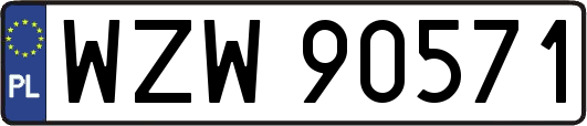 WZW90571