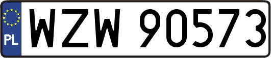 WZW90573