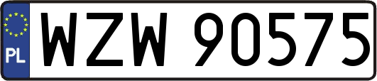 WZW90575