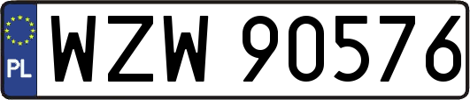 WZW90576