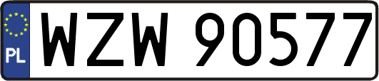 WZW90577