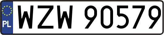 WZW90579