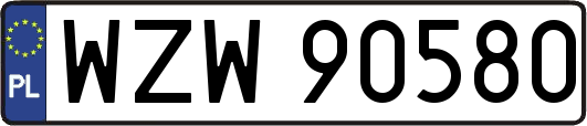 WZW90580