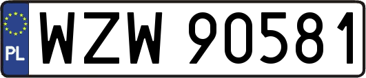 WZW90581