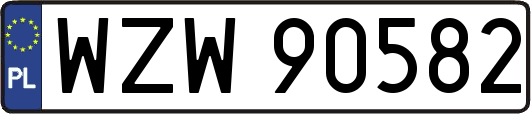 WZW90582