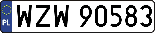 WZW90583