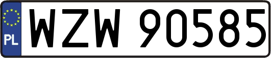 WZW90585